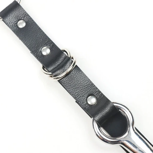 EverydayUse Kinky Leash with 5853 Anal Collar and Hook 0528